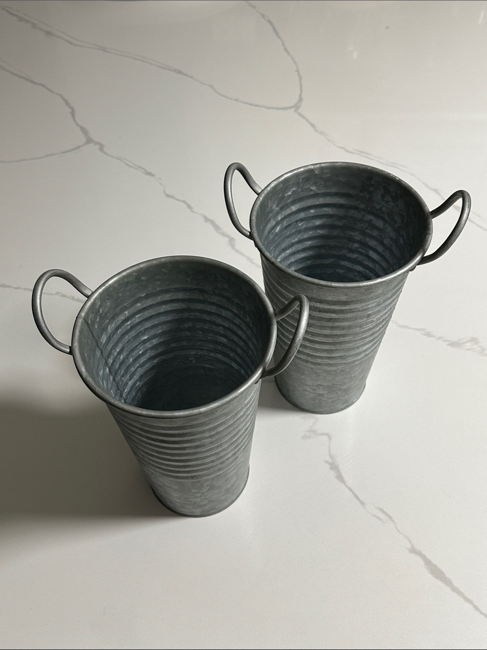 Ashland Set Of Two Fall Metal Containers
